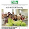 Kalter Winter macht Kohl knackig - Küche: Chinakohl mit Kürbiskernöl aus Österreich