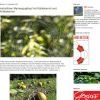 Herbstlicher Marmorguglhupf mit Kürbiskernöl und Kürbiskernen