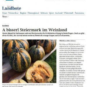 Steiermark Kürbiskernöl Landbote