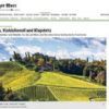 Herbst in der Steiermark: Wein, 100% echtes Kürbiskernöl und Klapotetz